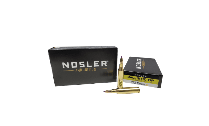 NOSLER 243 WIN 90 GR BT